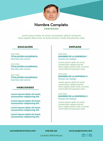 plantilla currículum enólogo